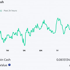 Crypto-BitCoinCash-Low